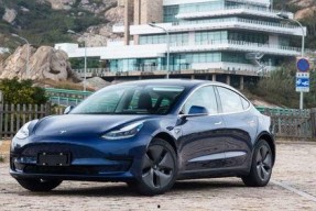 国产琪琪,琪琪的奇幻冒险之旅