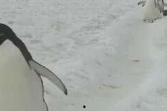 情侣小视频国产区